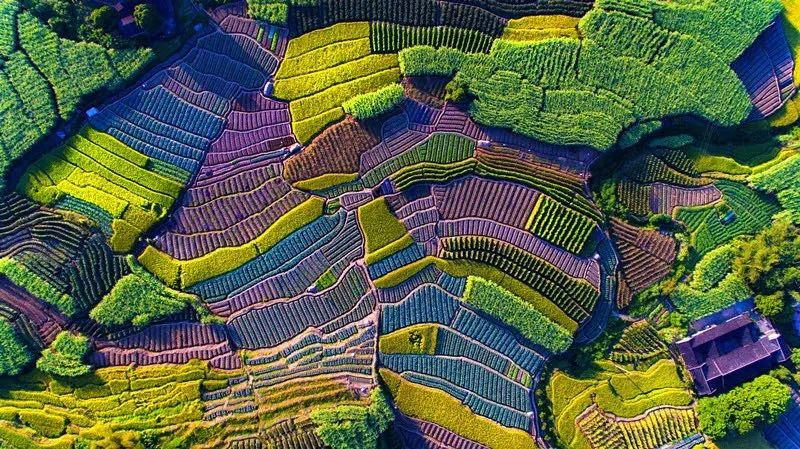 welcome-���ֲ�