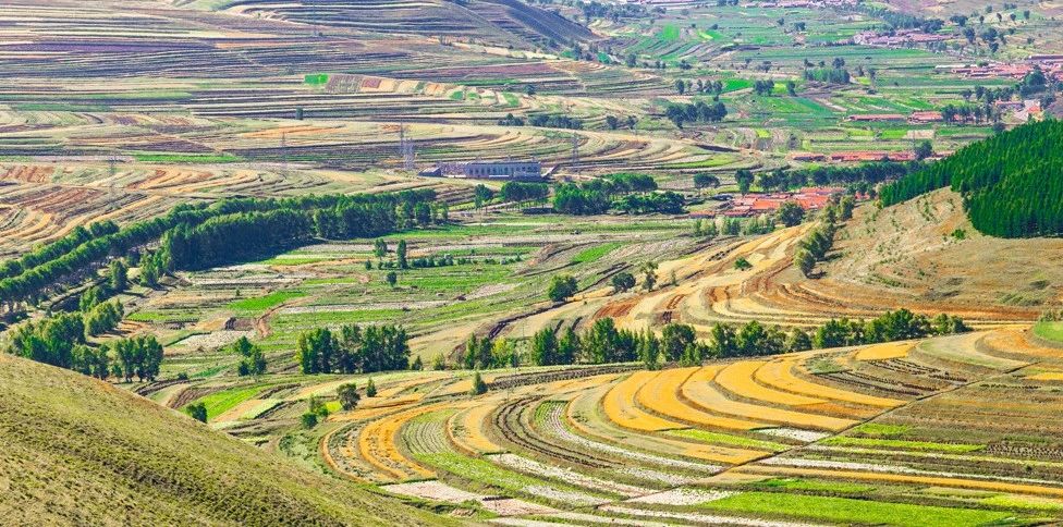 welcome-���ֲ�