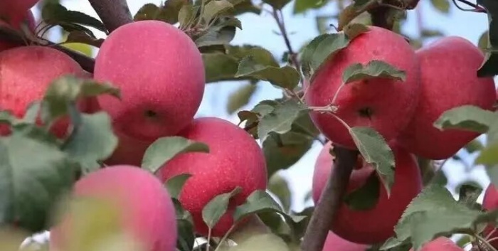 welcome-���ֲ�